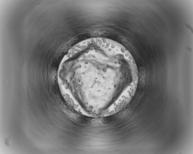 X0000102500574200808291714