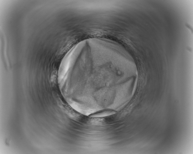 X0000102500576200808291714