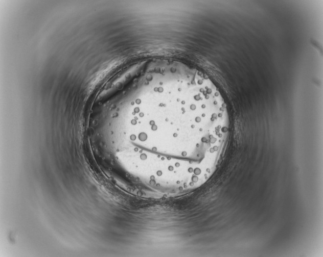 X0000102500578200808291713