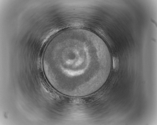 X0000102500579200808291713