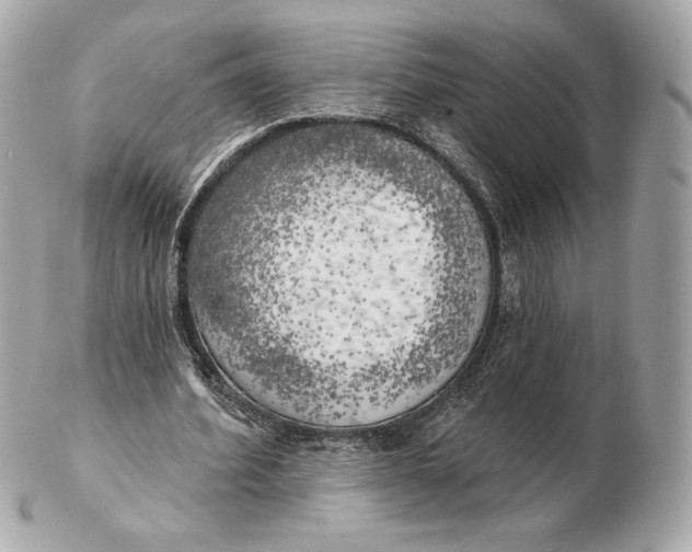 X0000102500580200808291713