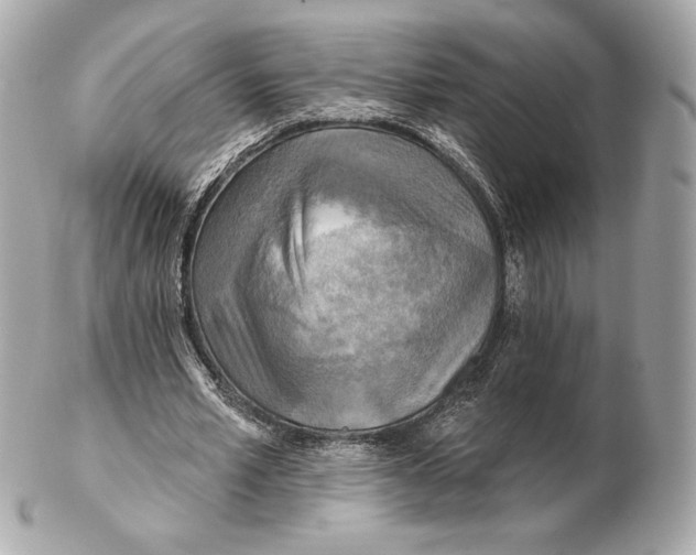 X0000102500581200808291713