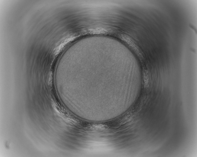 X0000102500583200808291713