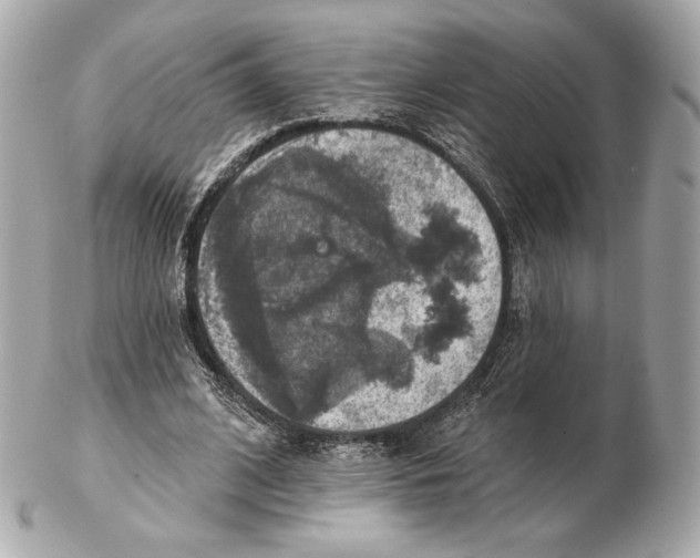 X0000102500584200808291713