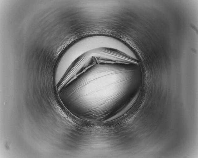 X0000102500585200808291713