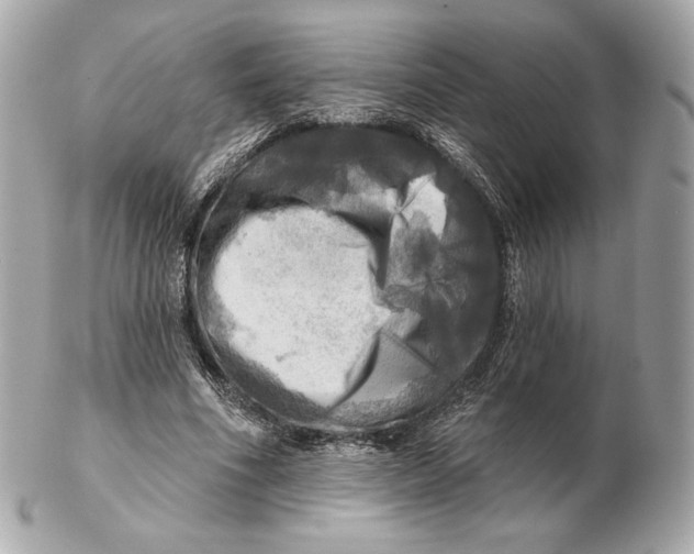 X0000102500586200808291713