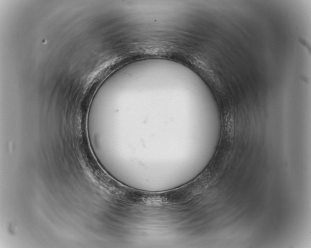 X0000102500587200808291713