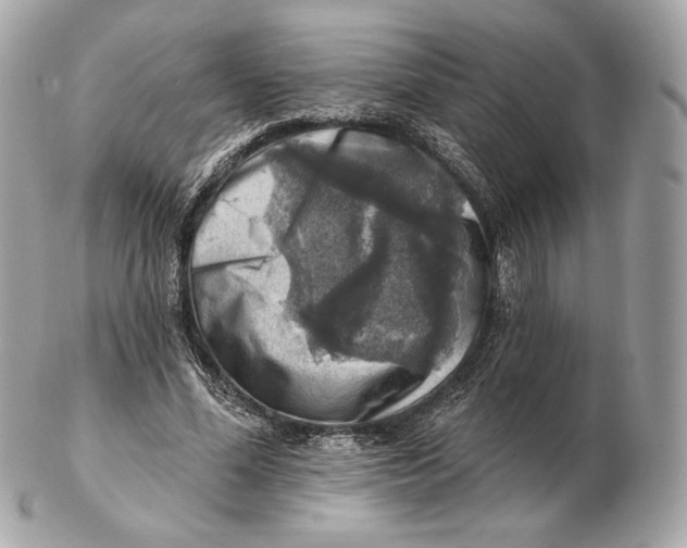 X0000102500588200808291713