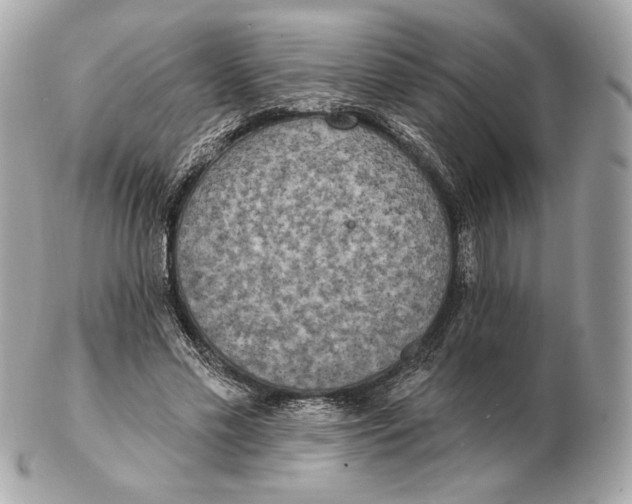 X0000102500589200808291713