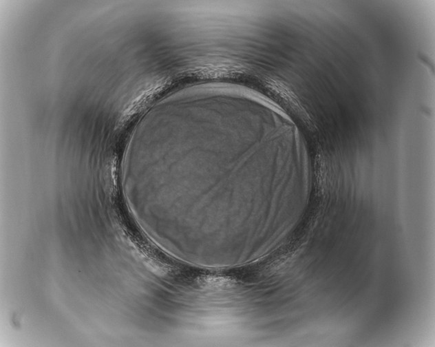 X0000102500590200808291713