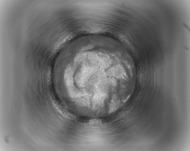 X0000102500591200808291713