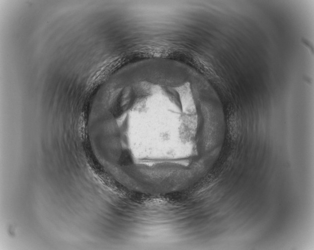 X0000102500594200808291713