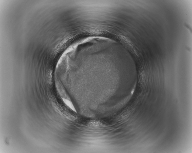 X0000102500596200808291713