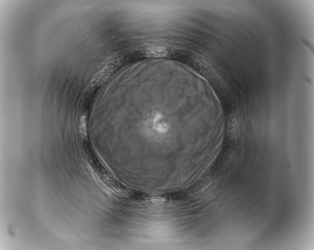 X0000102500598200808291713