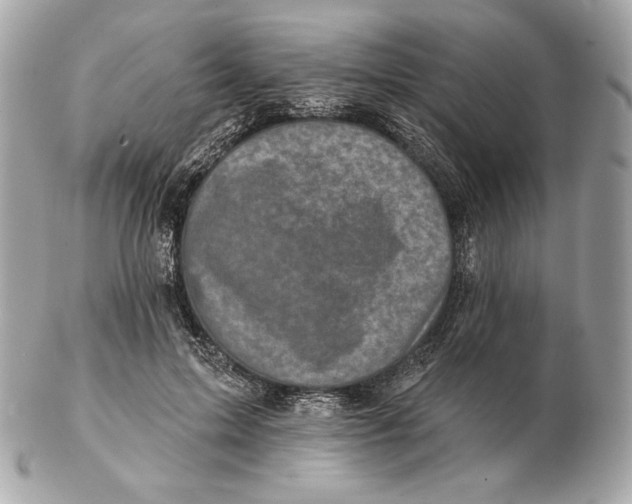 X0000102500599200808291713