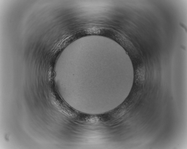 X0000102500600200808291713