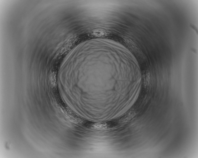 X0000102500606200808291713