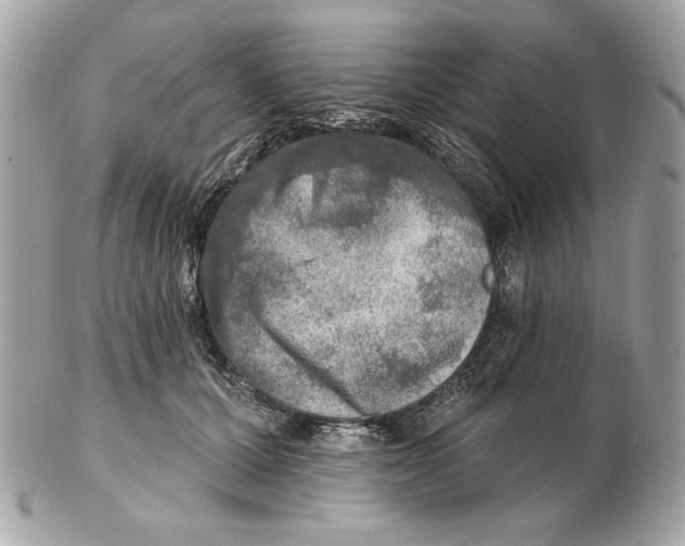 X0000102500607200808291713