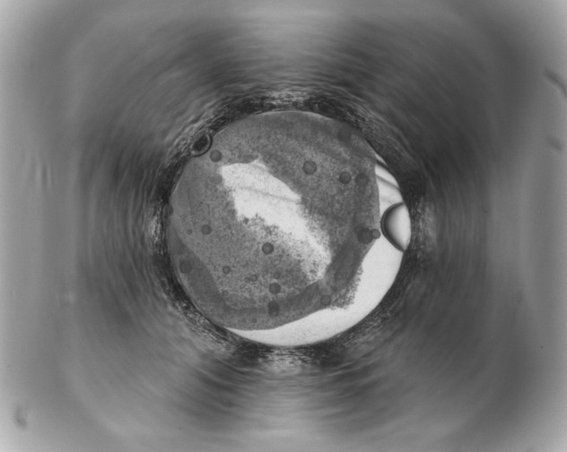 X0000102500608200808291713