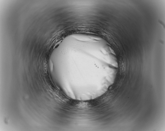 X0000102500609200808291713