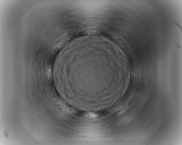 X0000102500610200808291713