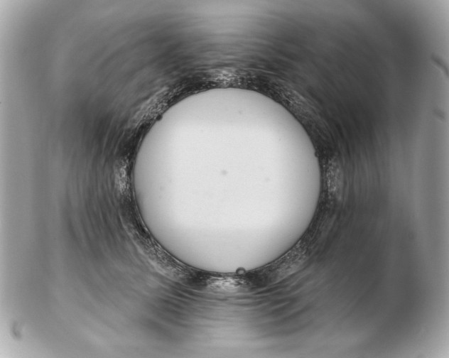 X0000102500611200808291713