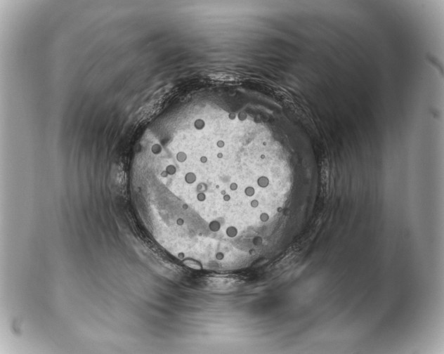 X0000102500614200808291713