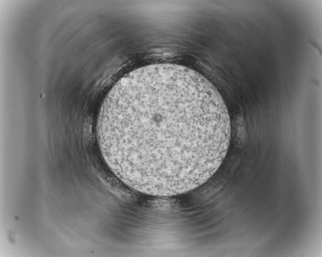 X0000102500615200808291713