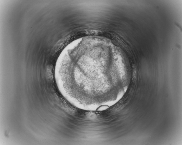 X0000102500616200808291713