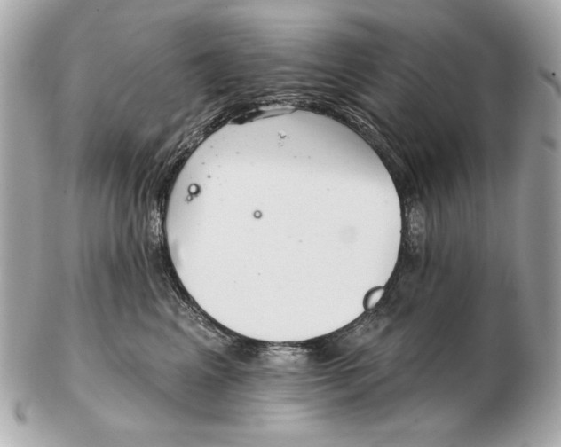 X0000102500617200808291713