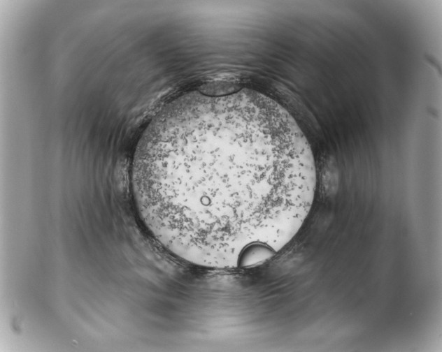 X0000102500620200808291713