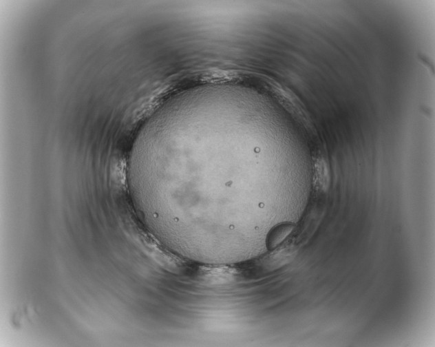 X0000102500621200808291713