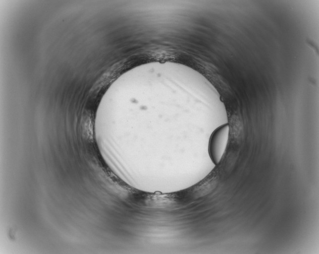 X0000102500622200808291713