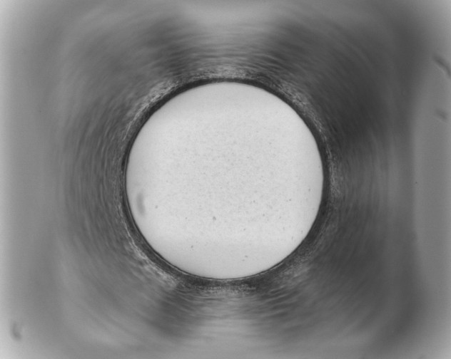 X0000102500625200808291712