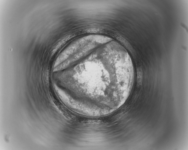 X0000102500626200808291712