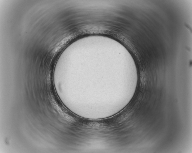 X0000102500629200808291712