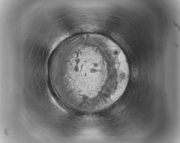 X0000102500630200808291712