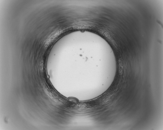 X0000102500631200808291712