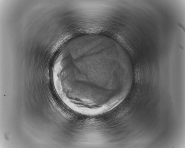 X0000102500634200808291712