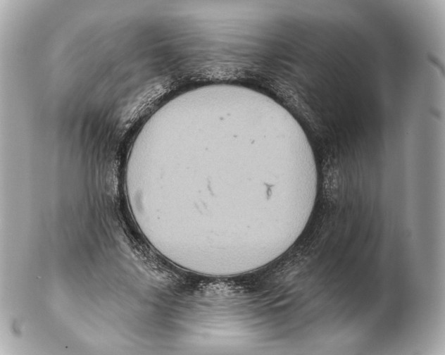 X0000102500635200808291712