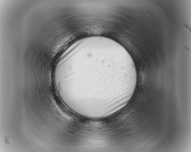 X0000102500638200808291712