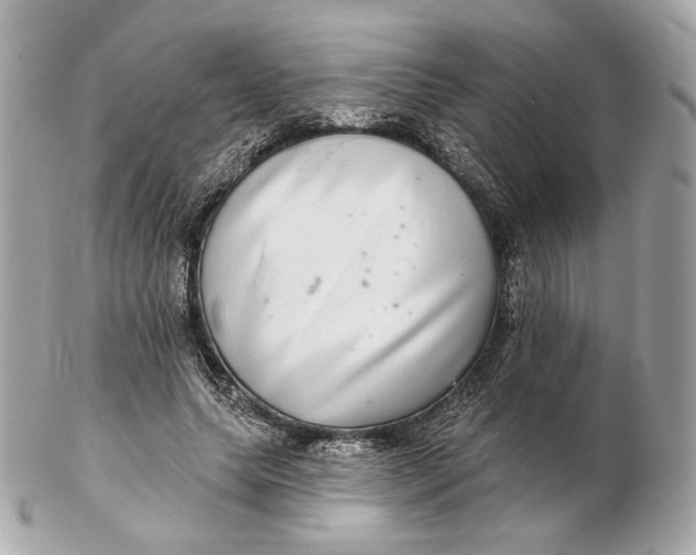 X0000102500639200808291712