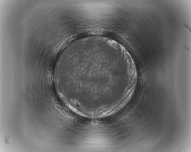 X0000102500641200808291712