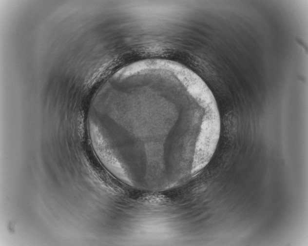 X0000102500642200808291712