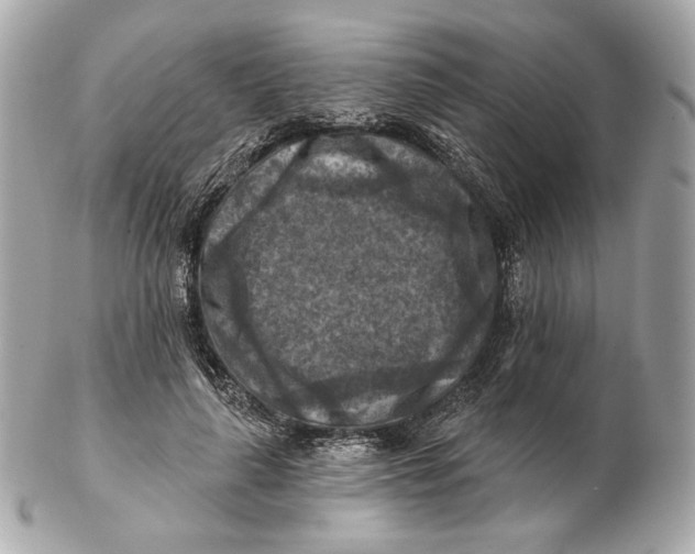 X0000102500643200808291712