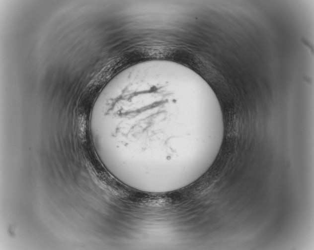 X0000102500646200808291712