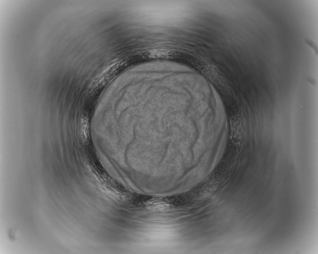 X0000102500648200808291712