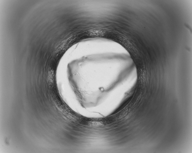 X0000102500649200808291712