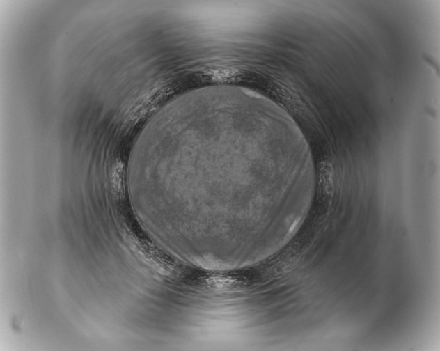 X0000102500650200808291712