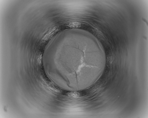 X0000102500652200808291712